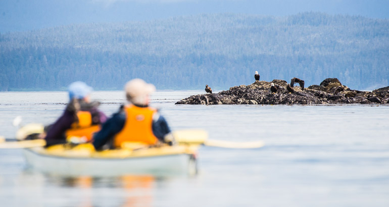 kayakers and eagle in Alaska