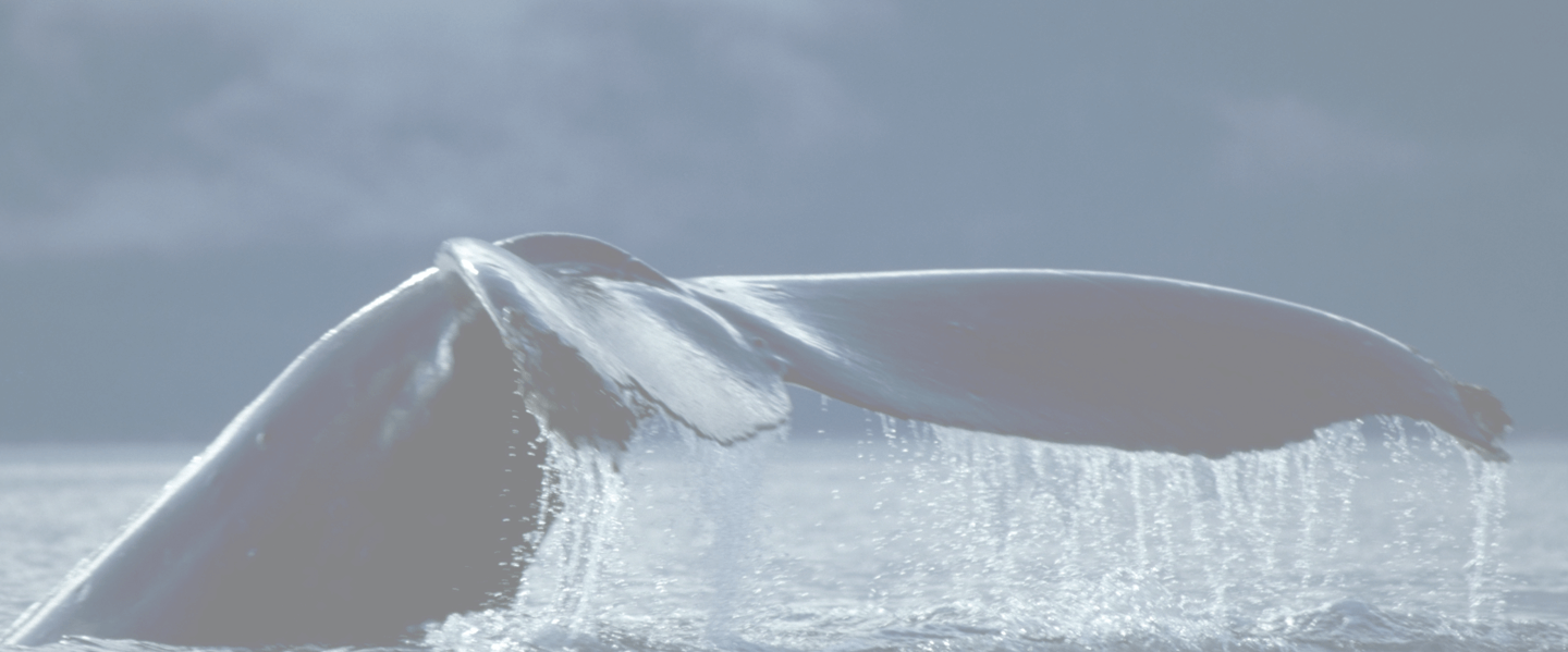 Spirit Walker Expeditions Alaska charter